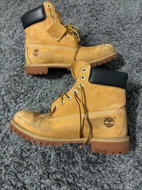Timberland premium 6 inch boots